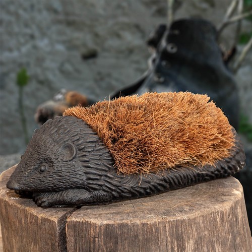 Schuhbürste igel schuhputzer - schuhbürste, igel,